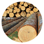 výkup dřeva